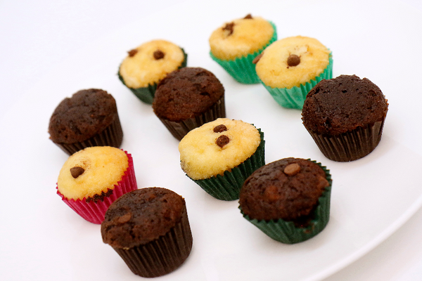 Mixed Mini Cupcakes - Passover