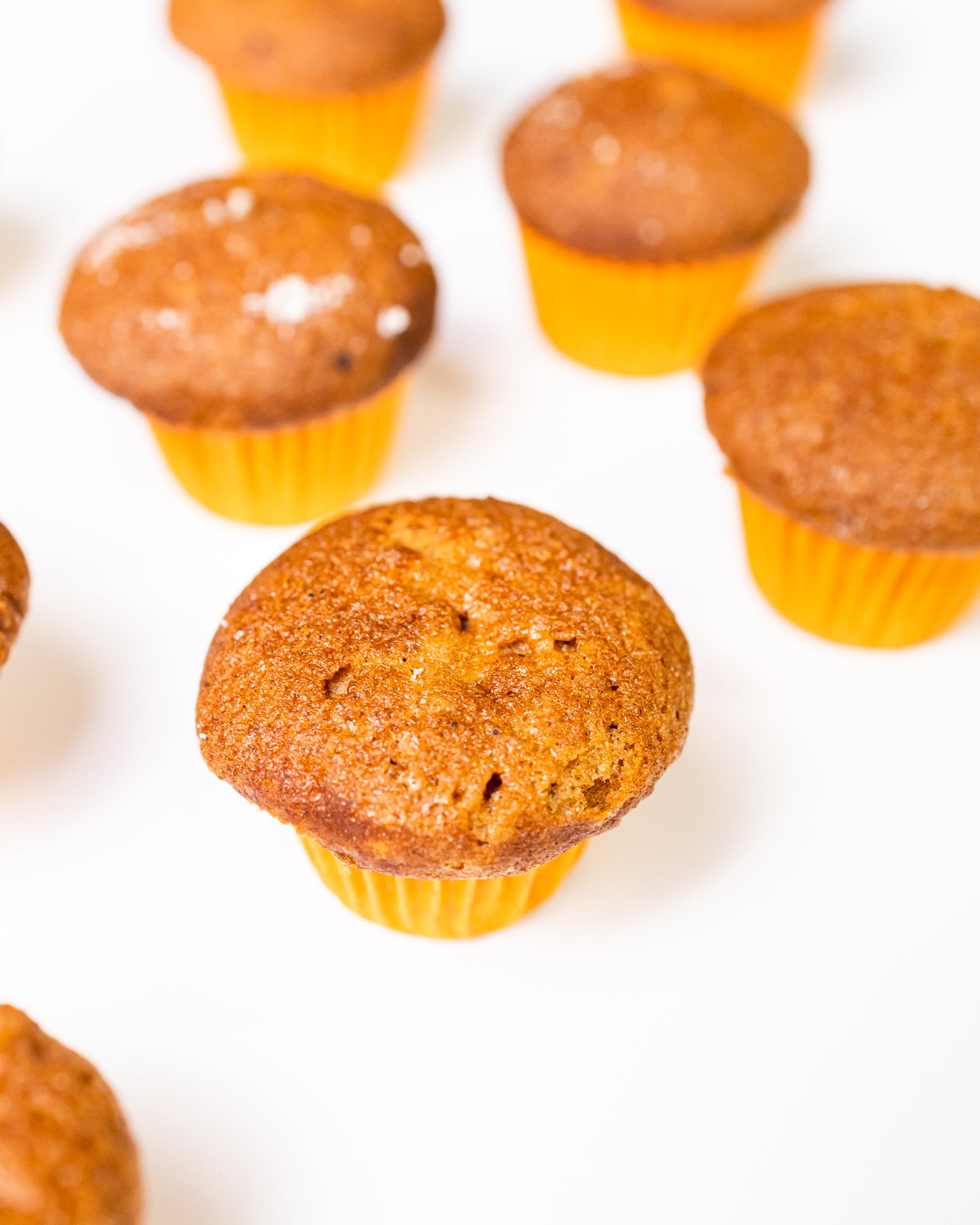 MINI HONEY CUPCAKES